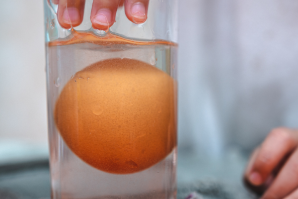 ¿Cómo saber si tus huevos están buenos? ¡Tíralos al agua!